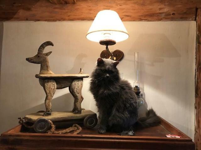 Chalet Bois D'Antan Bed & Breakfast Sainte-Foy-Tarentaise Luaran gambar
